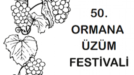 üzüm festivali